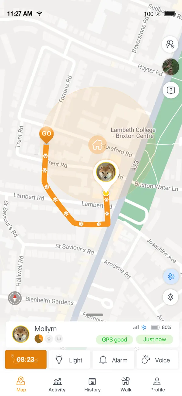 Screenshot #1 pour Pawfit