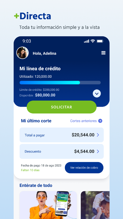 Salevale Screenshot