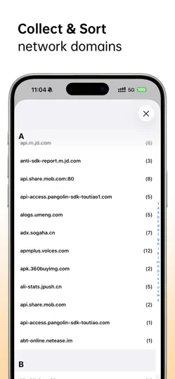 Screenshot von Network Sniffer auf dem iPhone 5