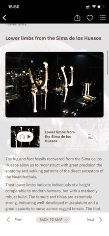 Museum of Human Evolution Screenshot 5 of 8