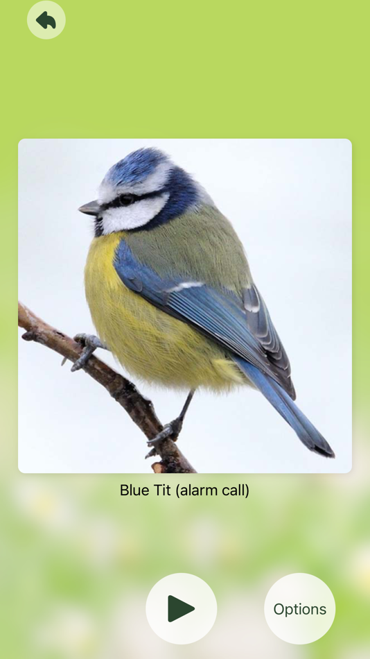 #7. Chirp! Bird Songs UK & Europe (iOS) 由: Spiny Software Ltd