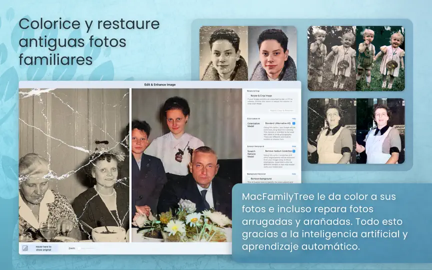 Captura de pantalla de MacFamilyTree 11 en iPhone 4