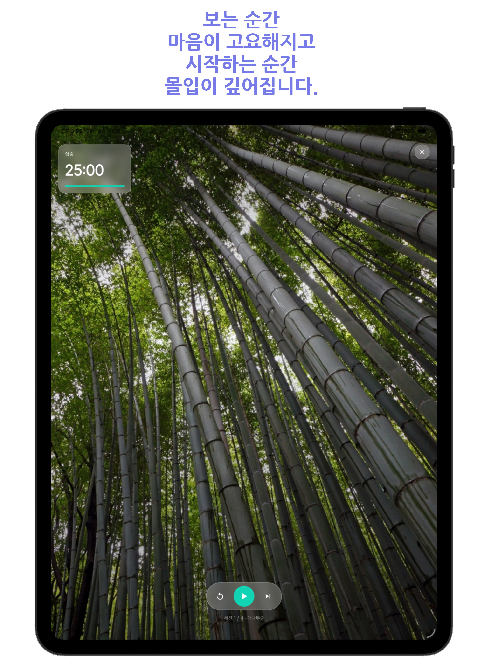 포모도로 집중력 타이머:화이트노이즈 필즈