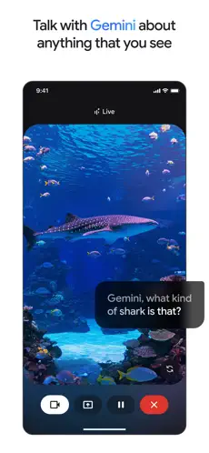 Google Gemini screenshot 3