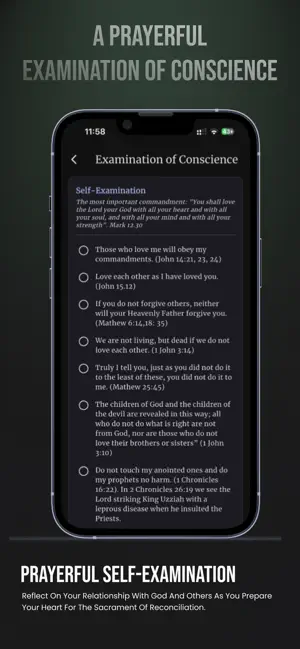 Confession Guide: Catholic Aid screenshot 2