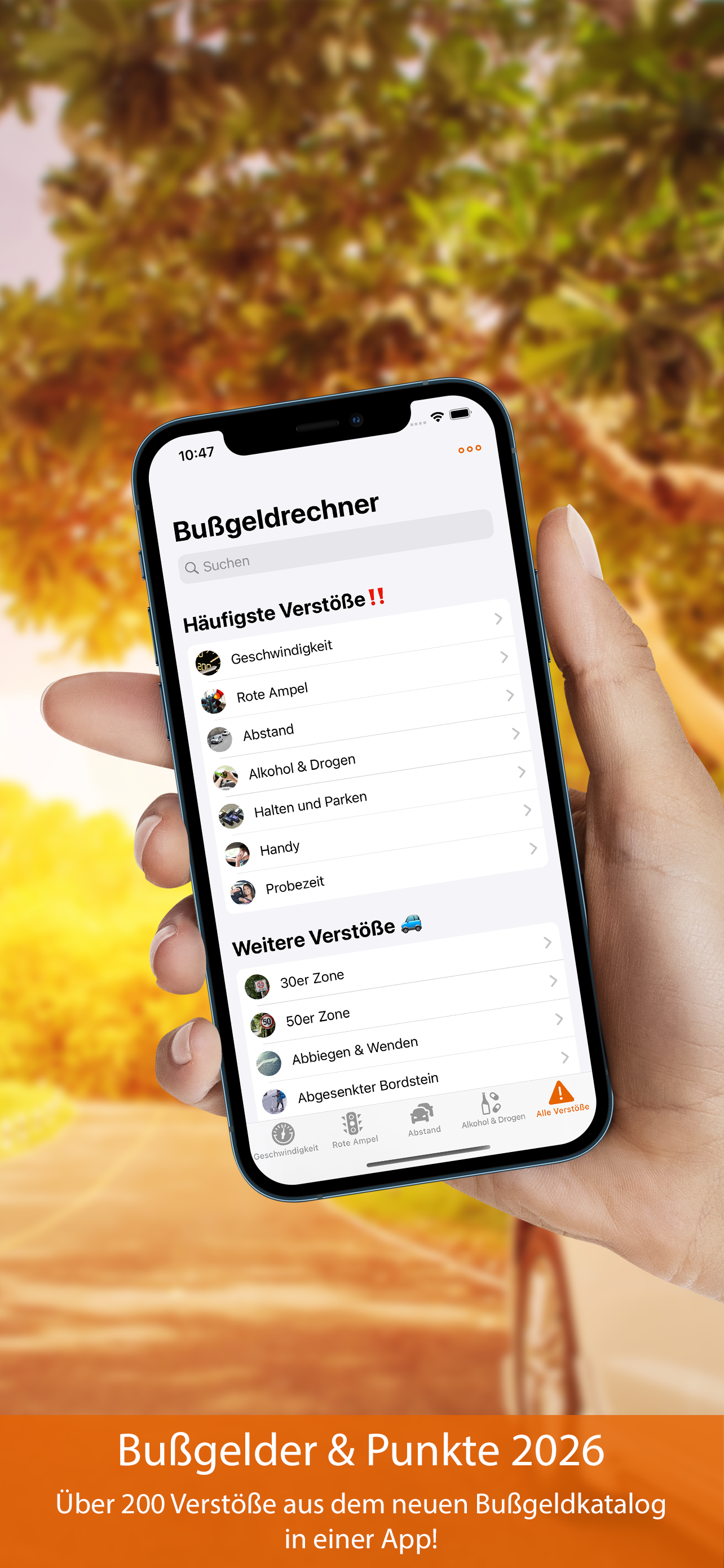 Bußgeldrechner Pro 2026