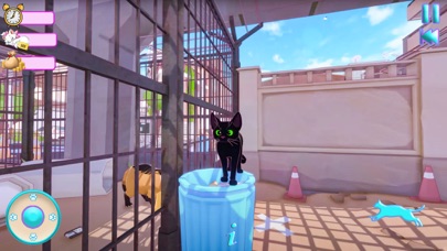 Little kitty Cat Sim Big City Screenshot