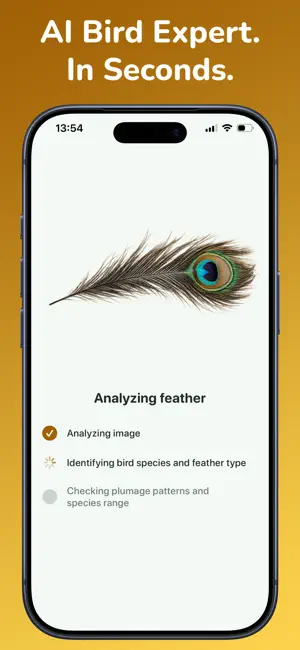 Feather Identifier: Scan AI screenshot 2