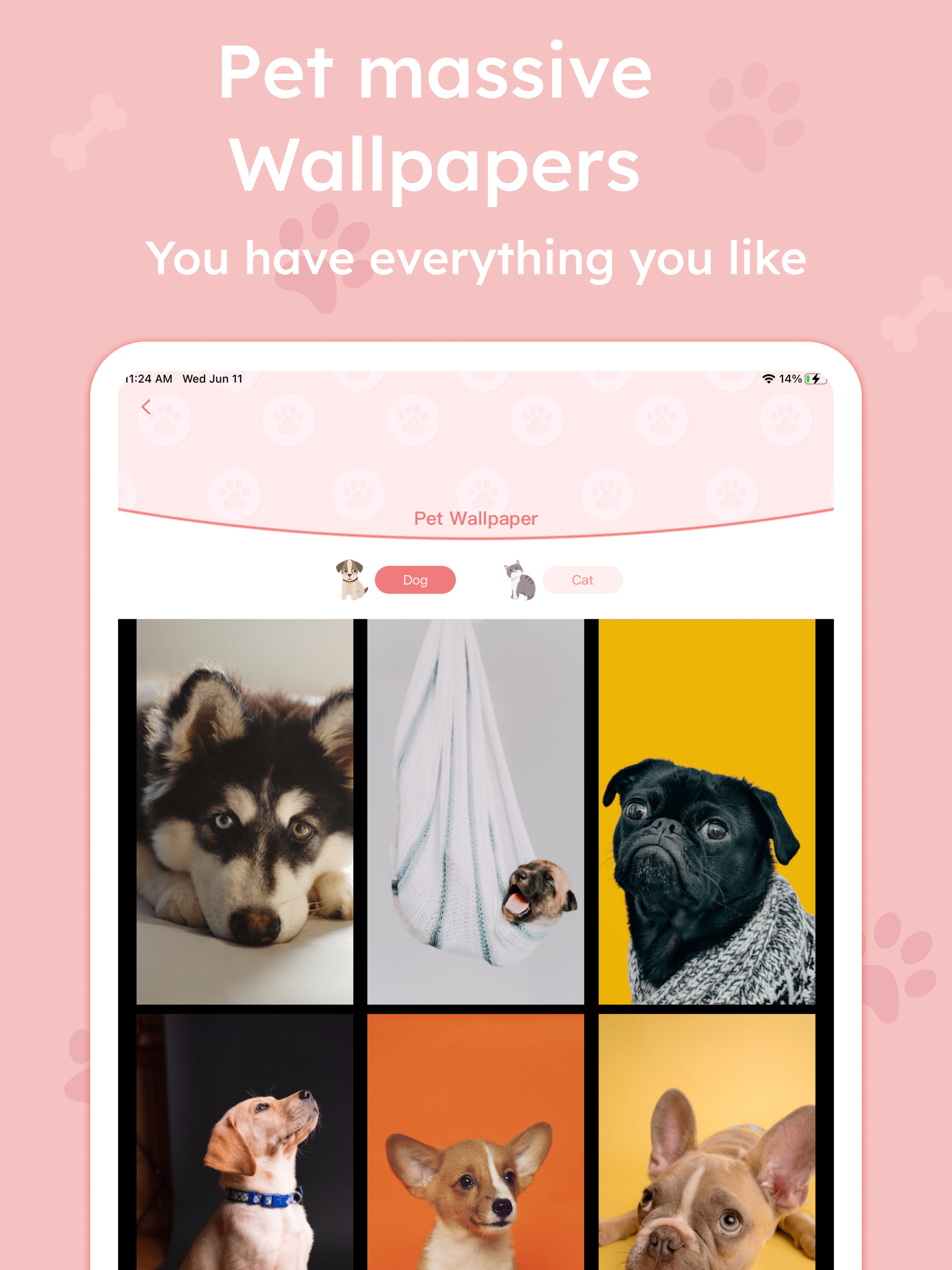 Animal Translate