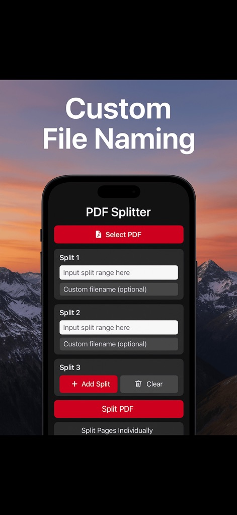PDF Splitter 2025 - pdf-splitter-2025-custom-file-naming