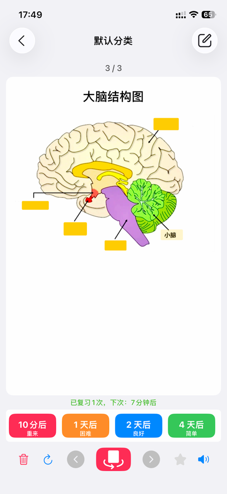 小记忆-艾宾浩斯遗忘记忆曲线高效背书 screenshot 2