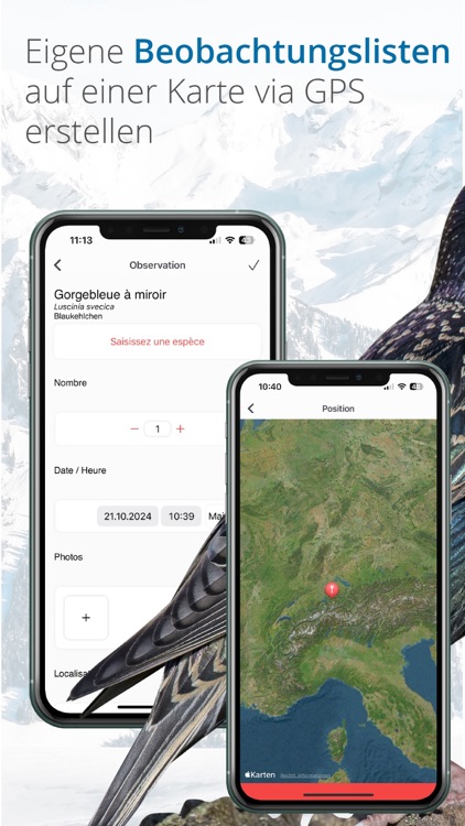 Vogelführer Birdlife Schweiz screenshot-8