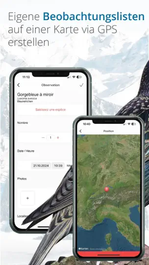 Vogelführer Birdlife Schweiz iPhone-skjermbilde 9