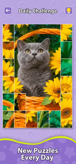 Jigsaw Patience Puzzles screenshot 3