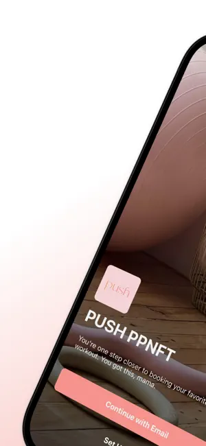 PUSH PPNFT screenshot 1