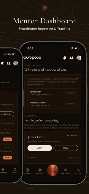 Purpose: Dynamics & Insights screenshot 4