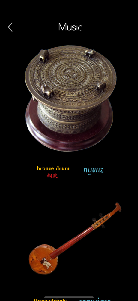 标准壮语 screenshot 6