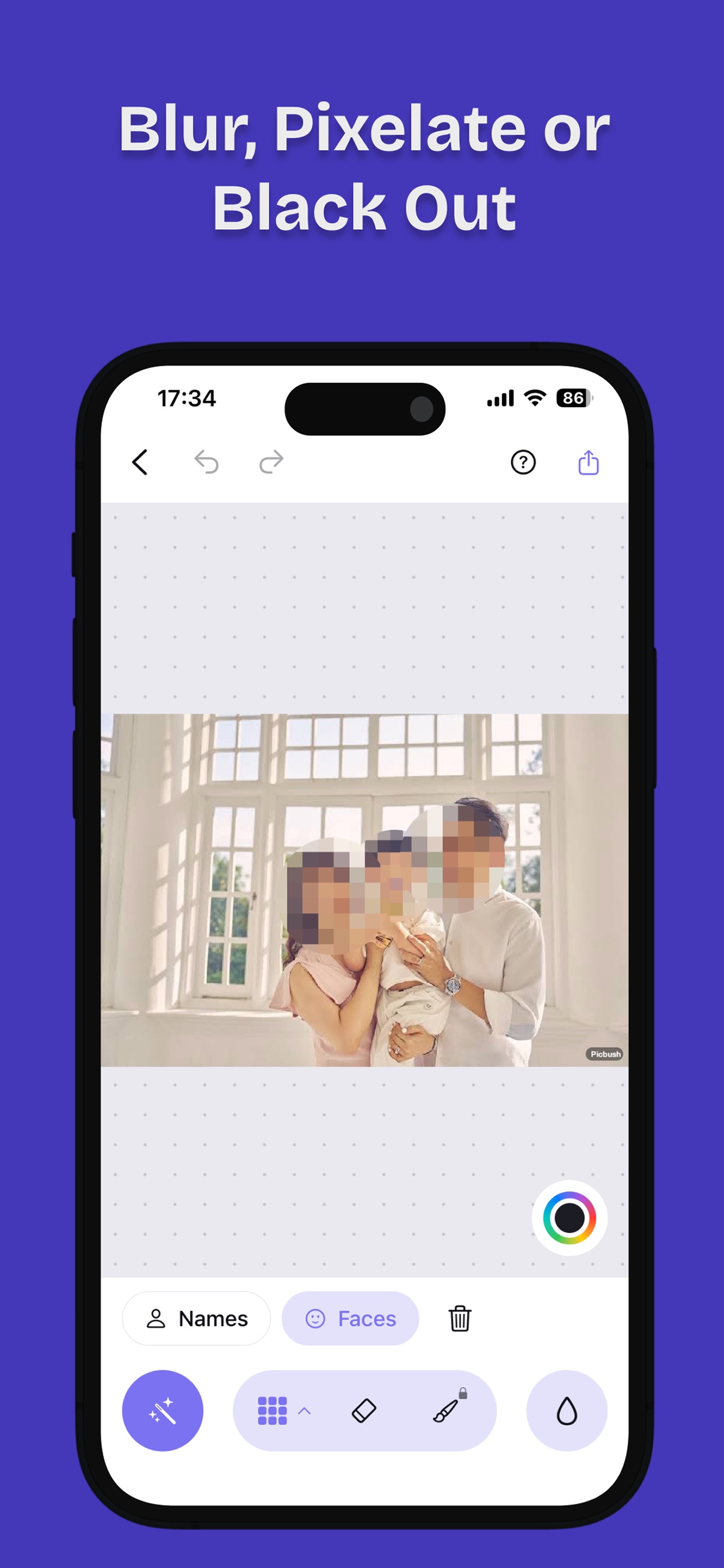 Screenshot 3 of Photo Redact & Mosaic: Picbush