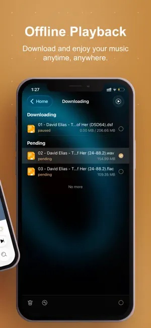 HiFier: HiFi Music Player screenshot 2