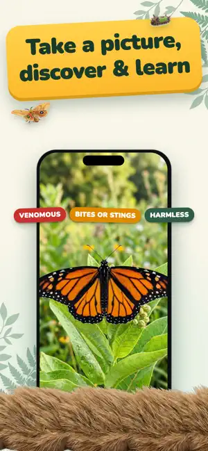 Bug ID: AI Insects Identifier screenshot 2