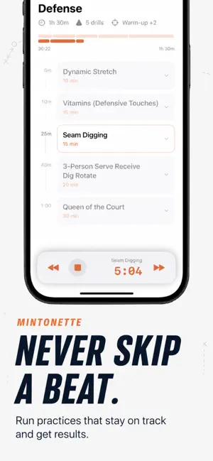 Mintonette screenshot 2