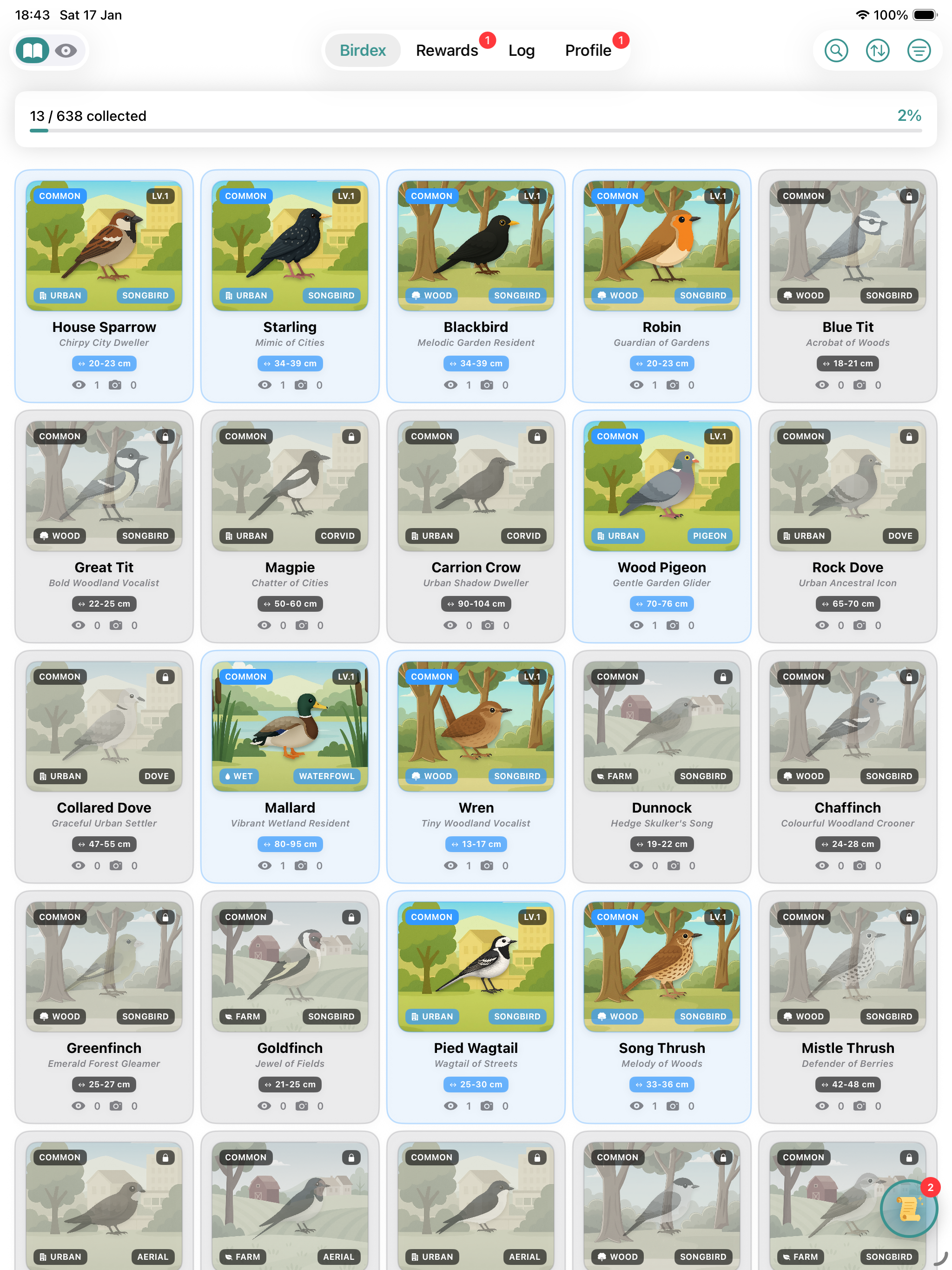 Birdex: UK Bird Watching App
