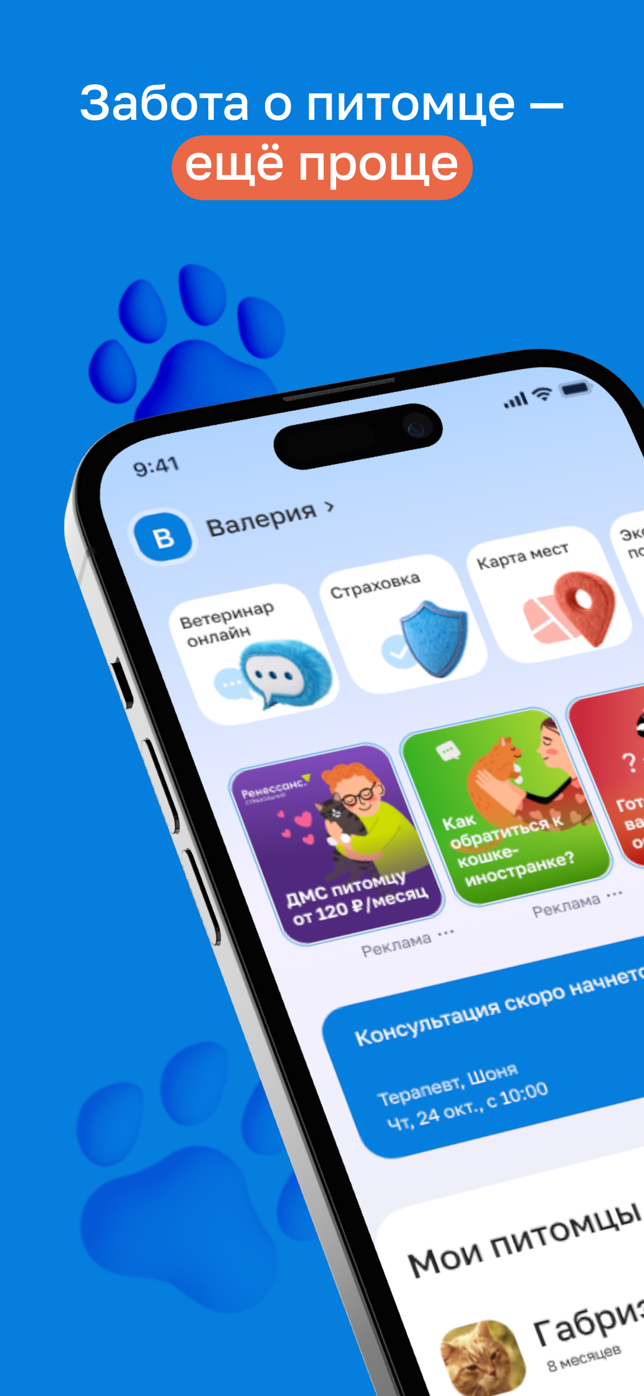 Petstory: ветеринар онлайн
