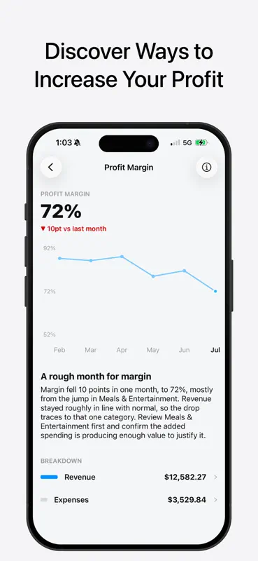Empirical: Business Finances screenshot 2 of 7