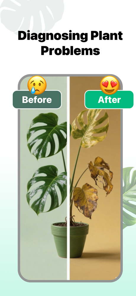 AI Plant - What Plant is this screenshot 2