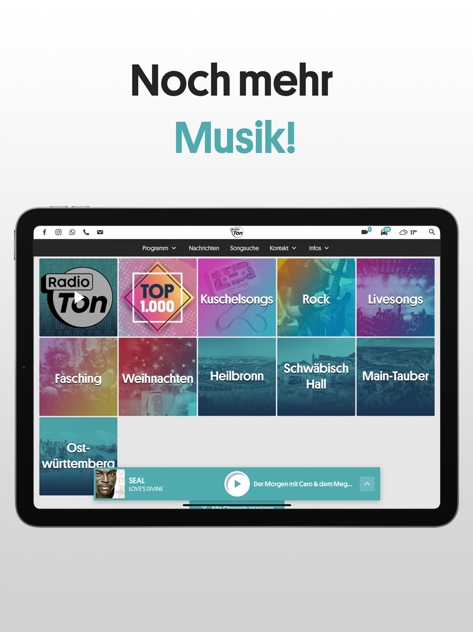 iPad screenshot