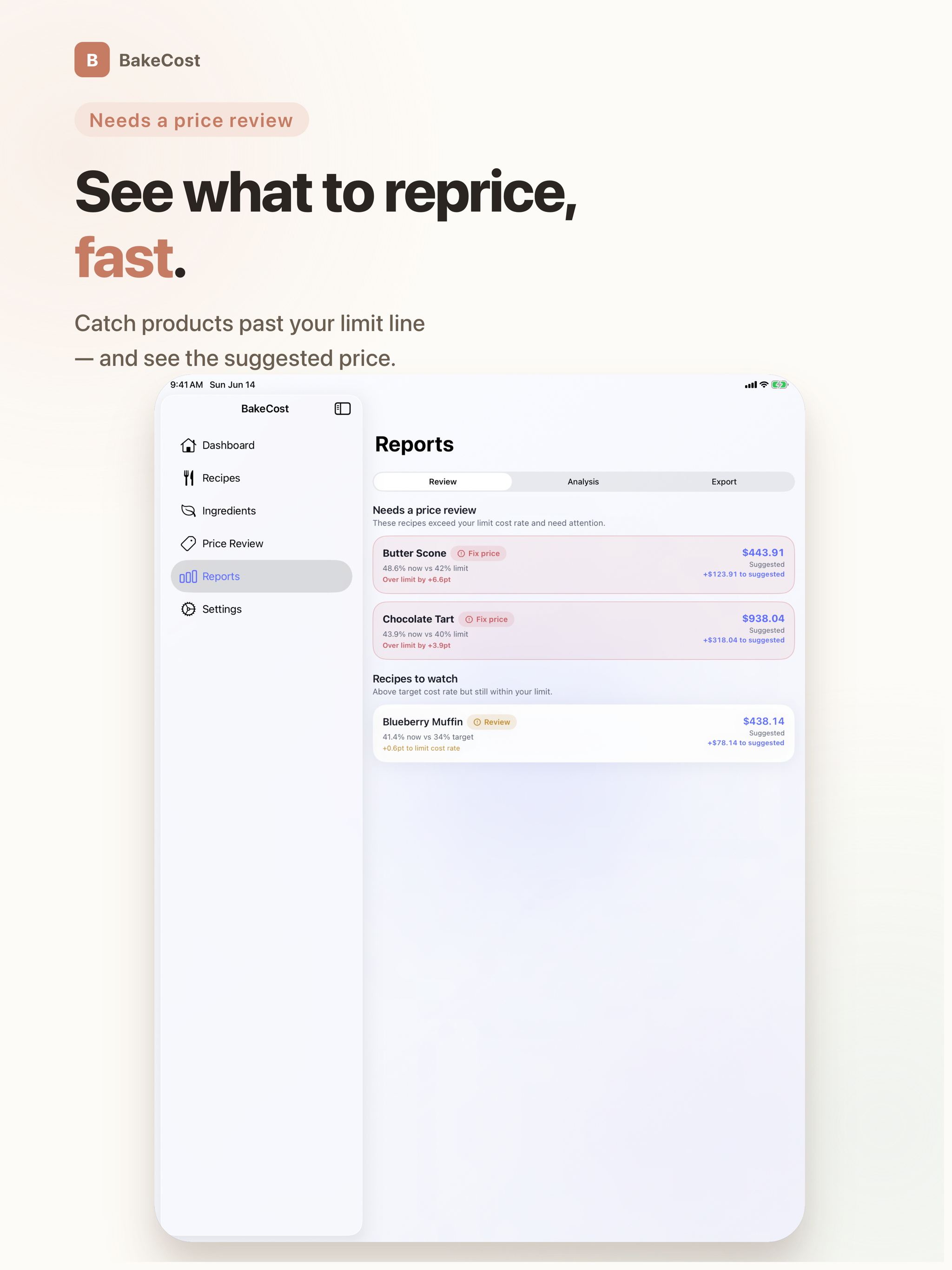 Recipe Costing - BakeCost screenshot 11