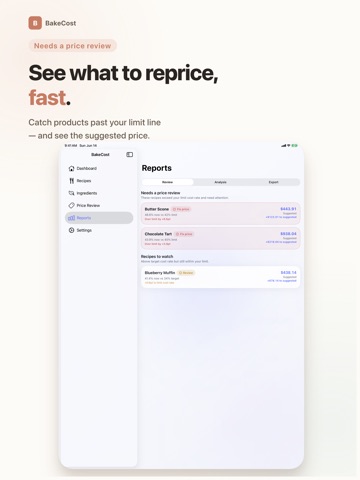 Recipe Costing - BakeCost iPad screenshot