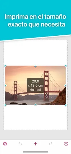 Captura de pantalla de Print To Size en iPhone 1