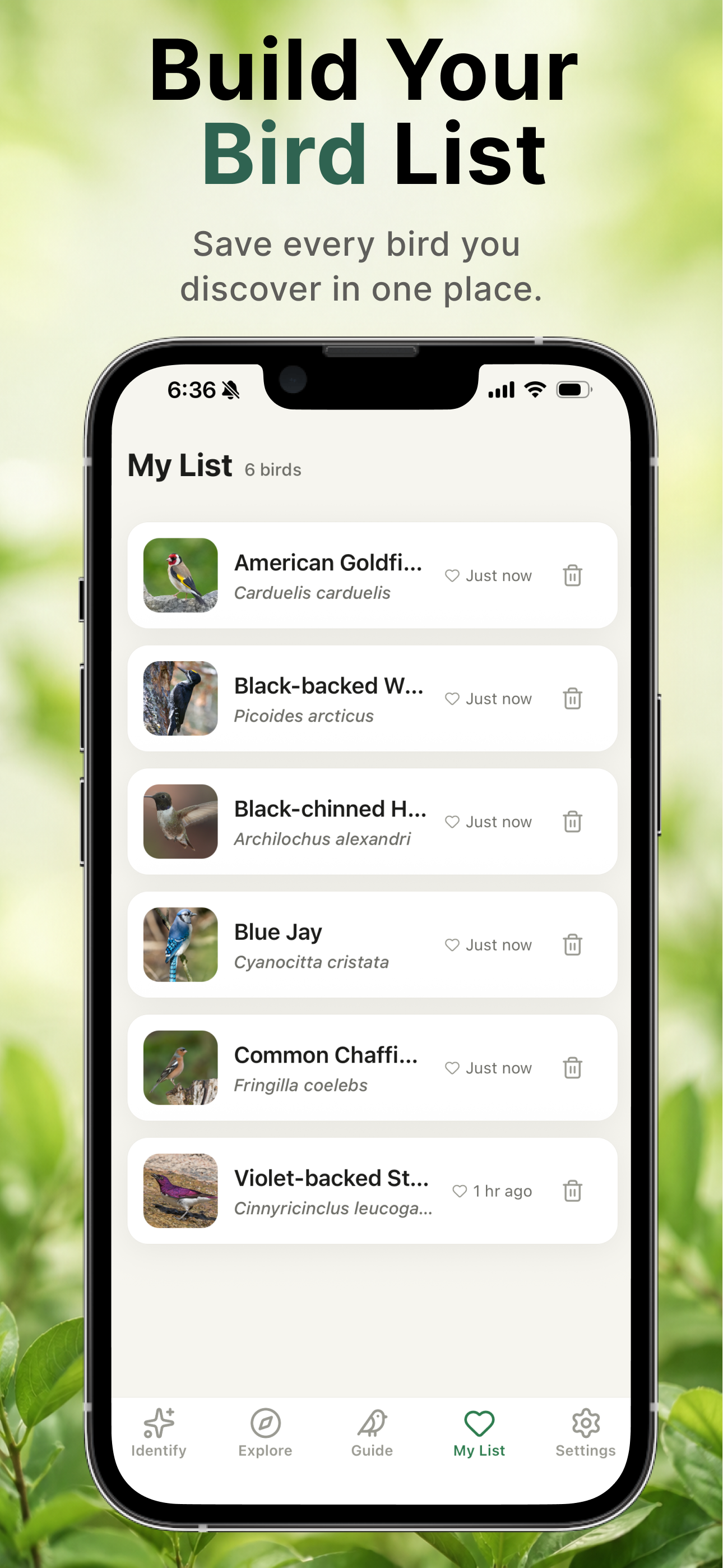 Bird Sound Identifier BirdNote screenshot 7