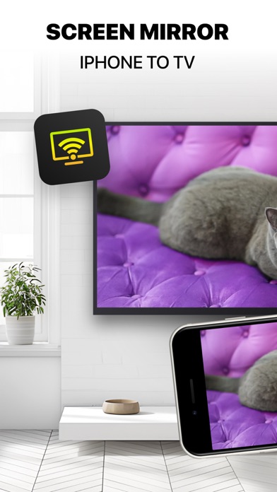 DoCast: Screen Mirroring to TV Screenshot