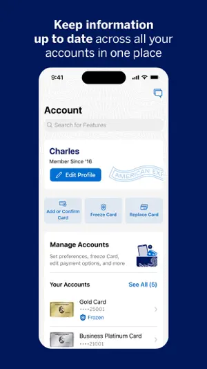 Amex screenshot 4