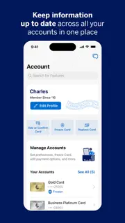 Amex screenshot 4