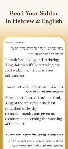 Zmanim: Siddur & Prayer Times Screenshot 1 of 10