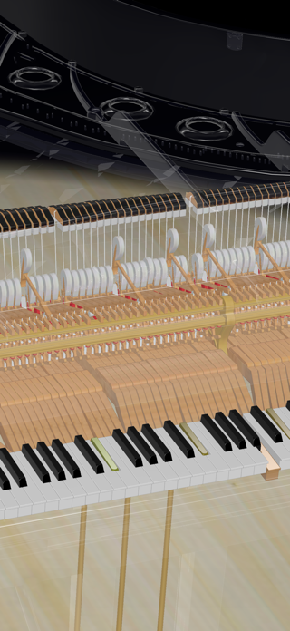 Piano Visualizer Screenshot 4 of 8