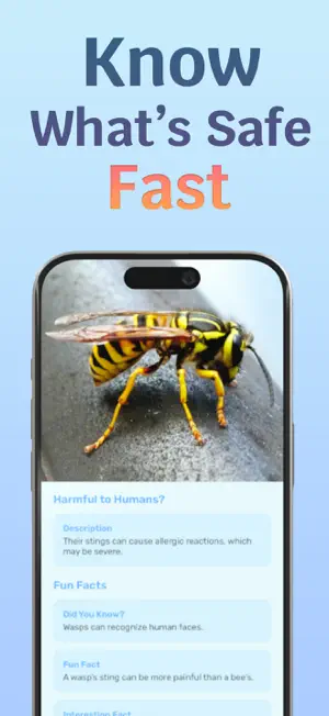 Insect Bug Identifier AI screenshot 3