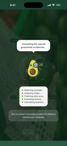 AvoCadabra screenshot