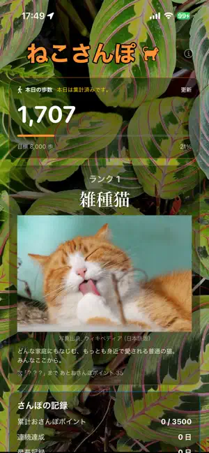 ネコさんぽ screenshot 1