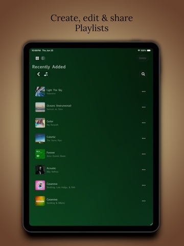 Musinova Offline Music Player iPad screenshot 4