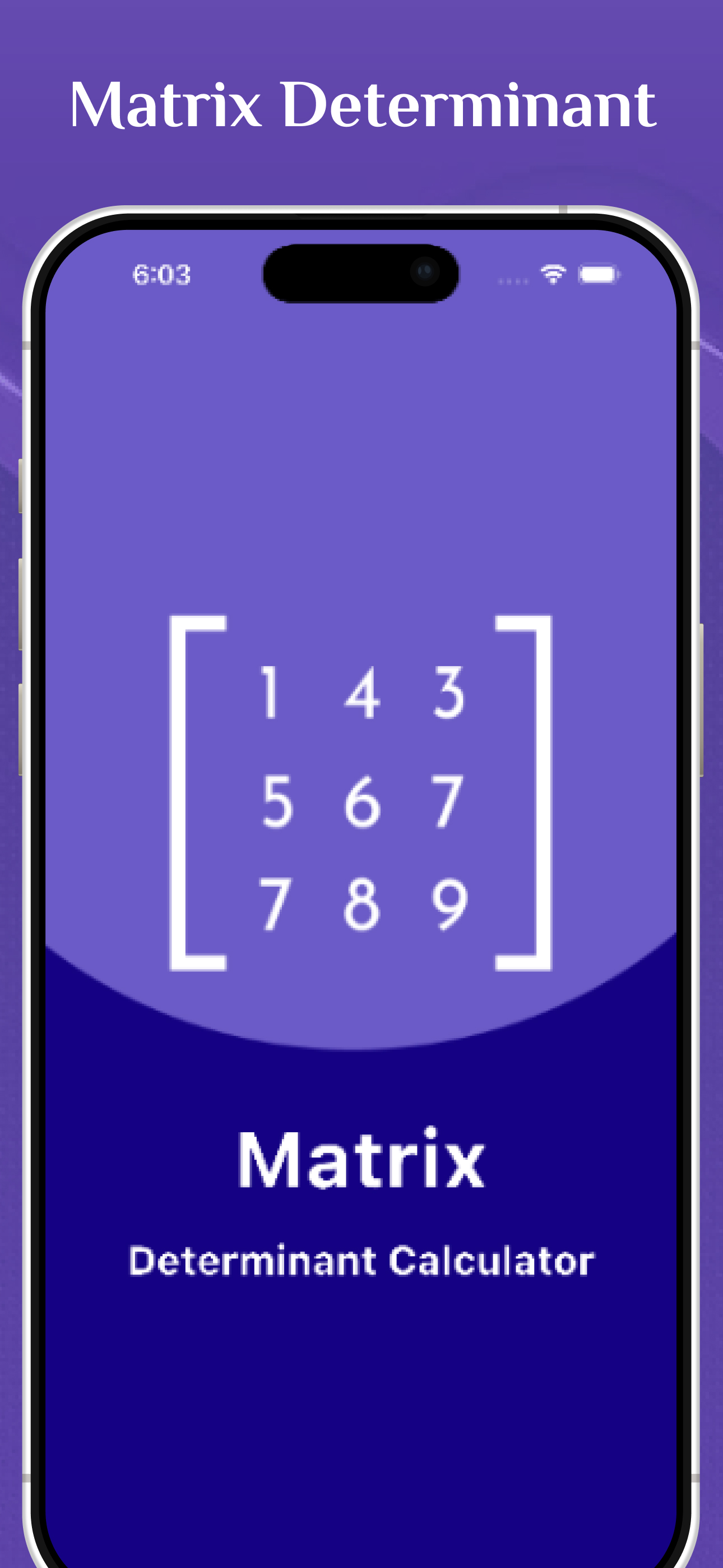 Matrix Determinant Calculator