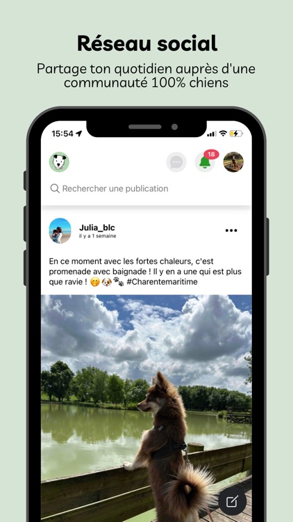 MyDogSociety - Balade de chien screenshot-6