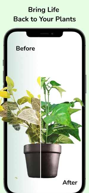 Plantofy: Plant Identifier screenshot 4