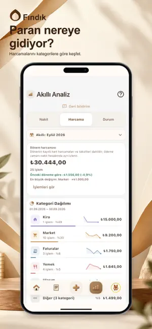 Fındık: Para Yönetimi screenshot 2