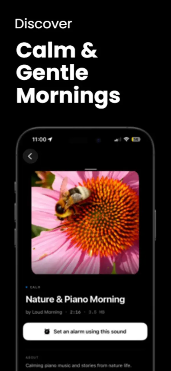 Screenshot #3 pour Alarmifex: Alarm & Sounds