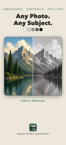 Value Study Assistant Screenshot 2 of 6