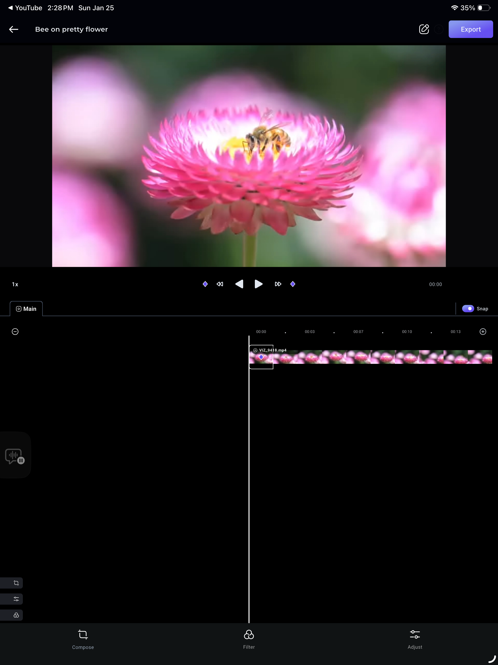 Pxlit: Stabilized Video Editor screenshot 14
